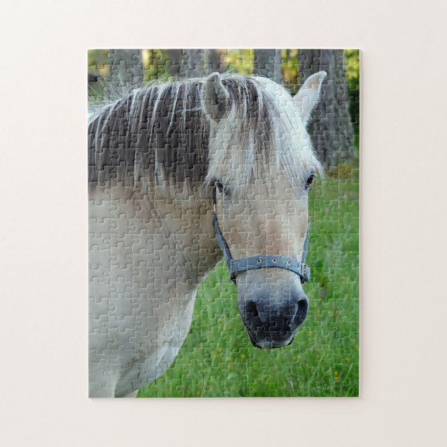 Horse Jigszawa puzzle Pussel (Vertikal)