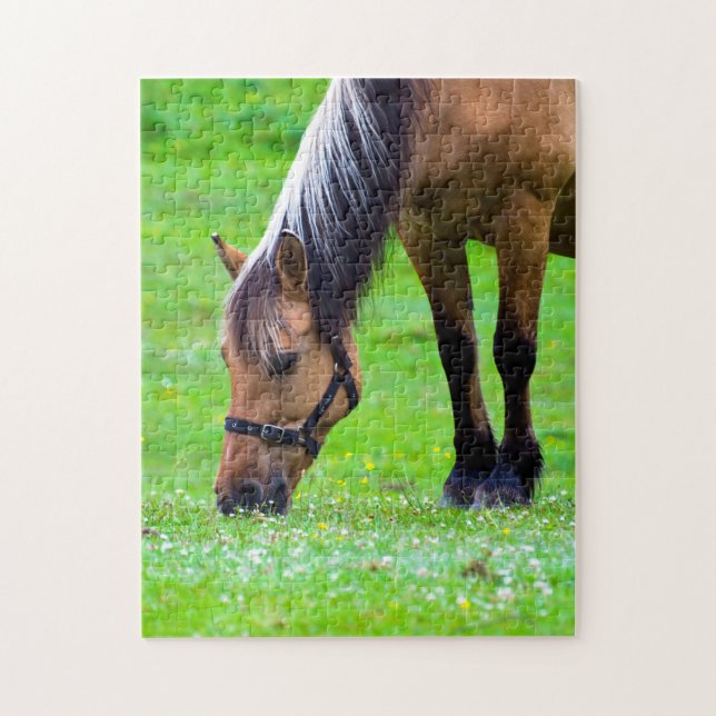 Horse Jigszawa puzzle Pussel (Vertikal)