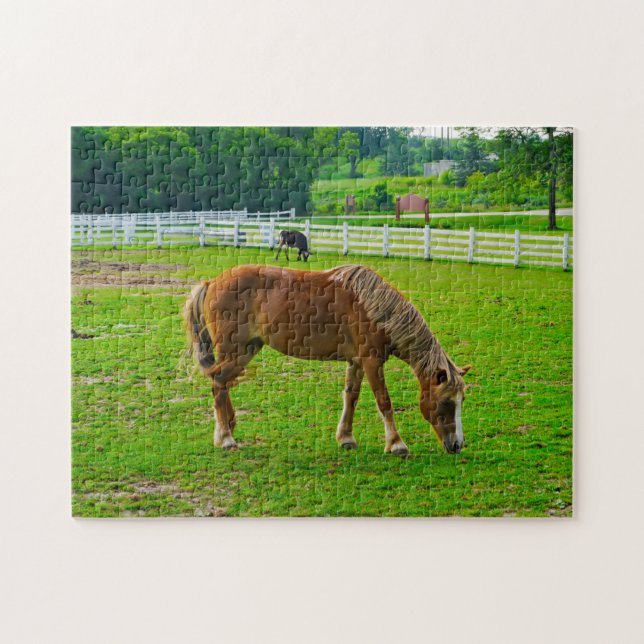 Horse Jigszle Puzzle Pussel (Horisontell)