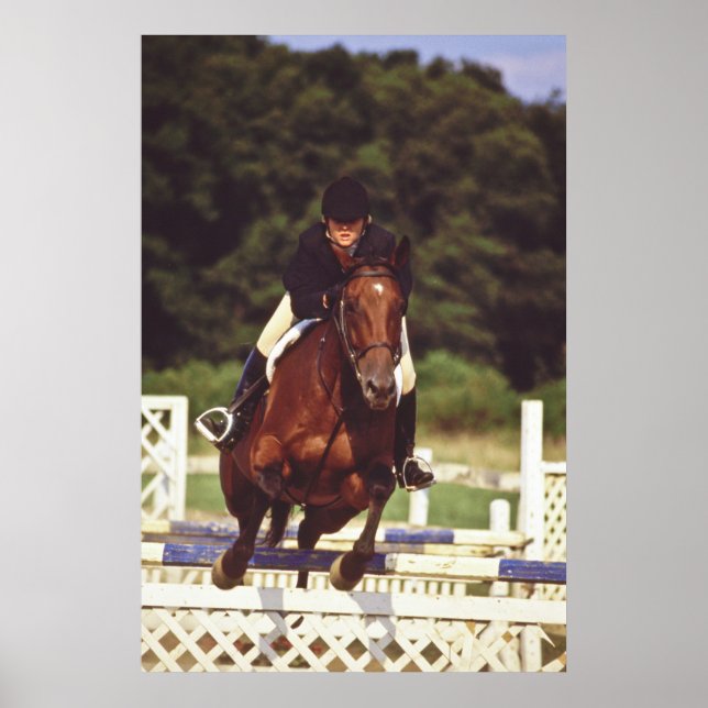 Horse Jumping Tävling - Poster (Framsidan)