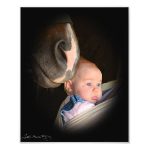 Horse kärlek Baby Fototryck