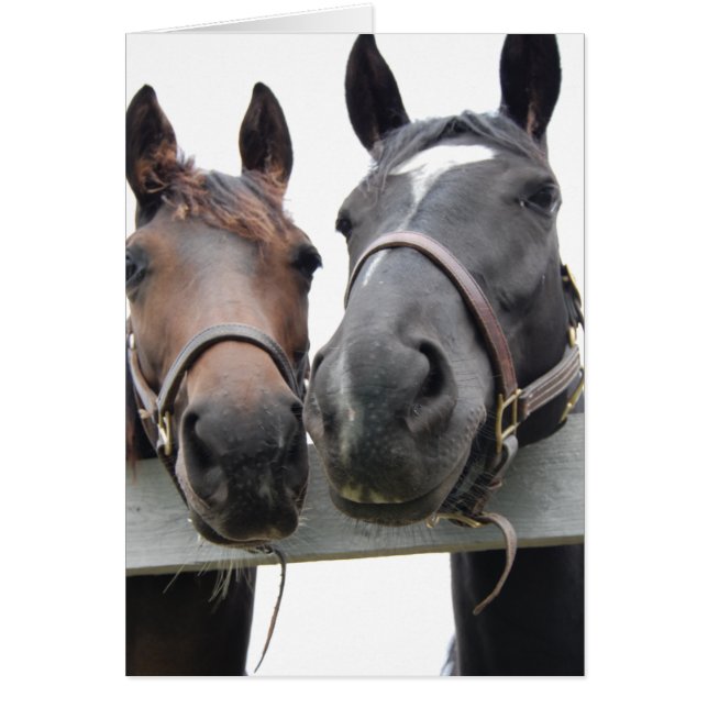 Horse-Kärlek Hälsningskort (Framsidan)