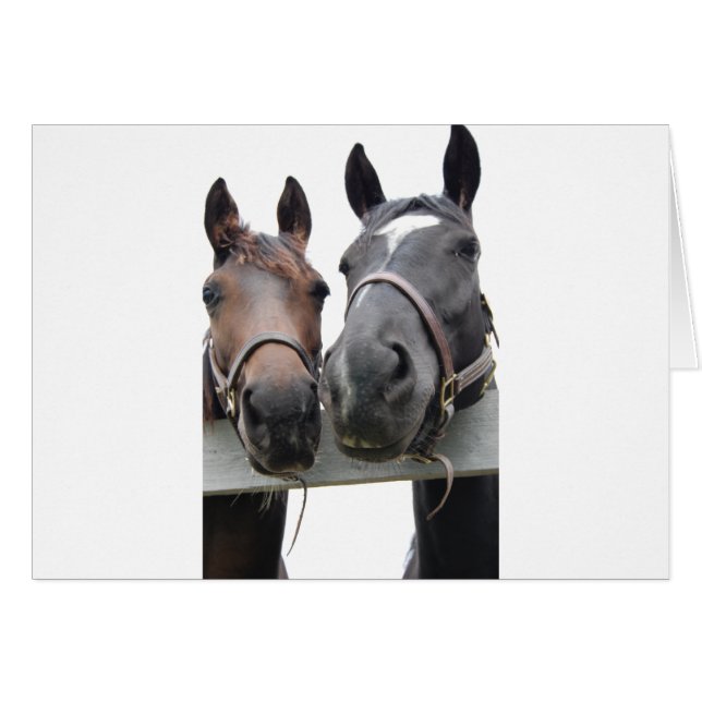 Horse-Kärlek Hälsningskort (Framsidan Horizontal)