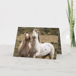 Horse Laugh Vild Horse Greeting Card Kort
