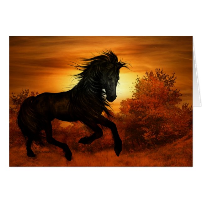 Horse Lover Black Stallion Horse Blank OBS Kort (Framsidan Horizontal)
