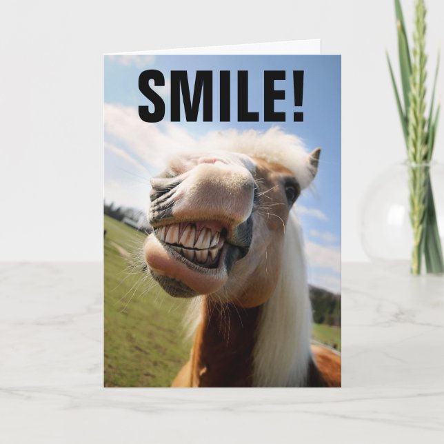 HORSE LOVER FUNNY BIRTHDAY GREETING CARDS KORT (Framsida)