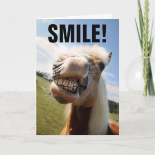HORSE LOVER FUNNY BIRTHDAY GREETING CARDS KORT