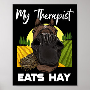 Horse Lover Hay Horse Rider Poster