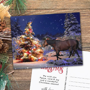 Horse Lover Julgran Silent night Vykort
