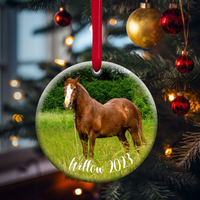 Horse Lover Memorial Ornament Gift (Skapare uppladdad)