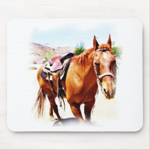 Horse Lover_ Musmatta