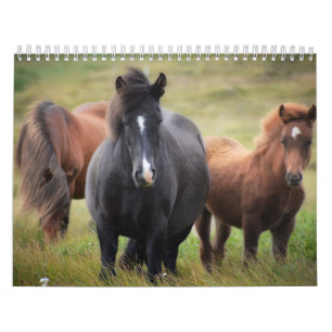Horse Lovers Calendar Kalender