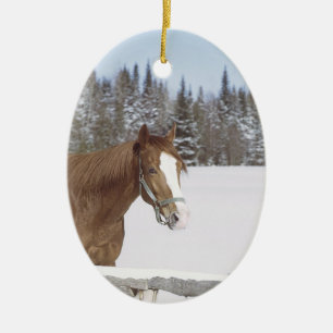 Horse Lovers-Dekorationer Julgransprydnad Keramik