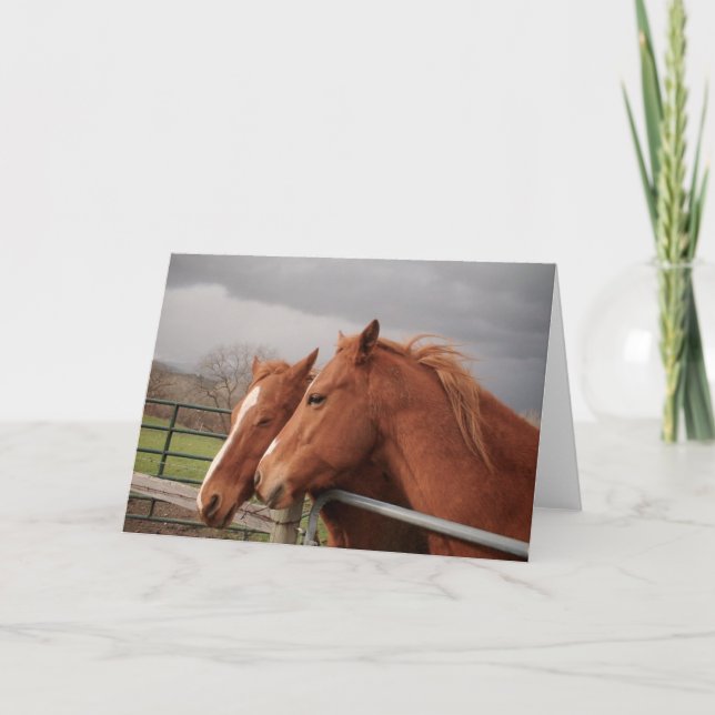 Horse Lovers Greeting Cards Kort (Framsida)