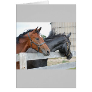 Horse Lovers Hälsningskort