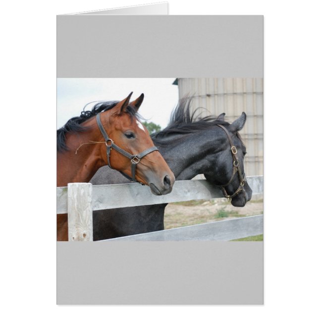 Horse Lovers Hälsningskort (Framsidan)