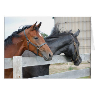 Horse Lovers Hälsningskort