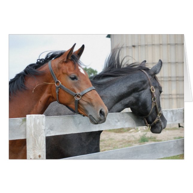 Horse Lovers Hälsningskort (Framsidan Horizontal)