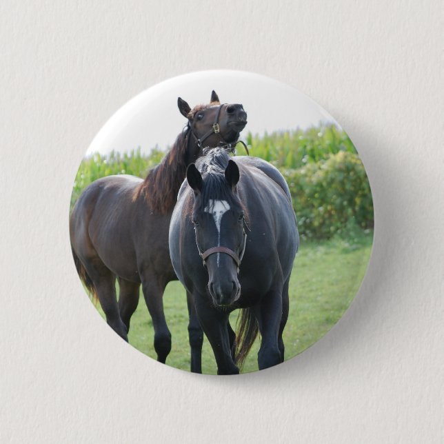 Horse Lovers Knapp (Framsida)