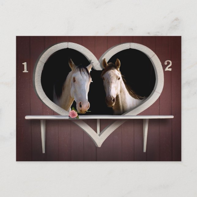 Horse Lovers Vykort (Framsida)