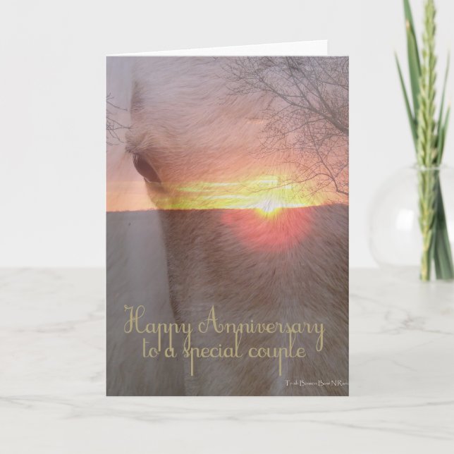 Horse Lycklig-årsdagen Kort (Framsida)