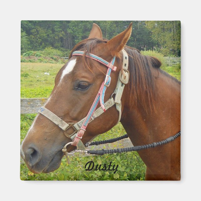 Horse Magnet (Framsidan)