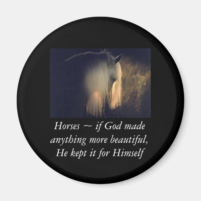 Horse magnet (Framsidan)