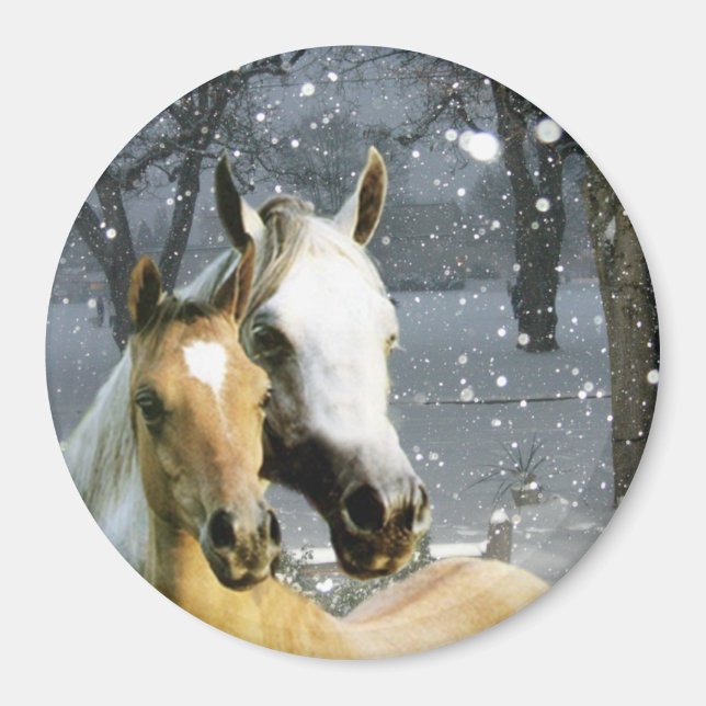 Horse Magnet (Framsidan)