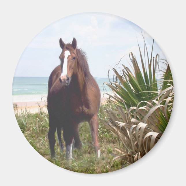 Horse Magnet Beach (Framsidan)