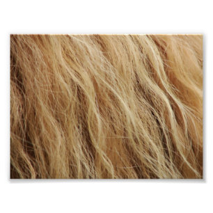 Horse Mane Fototryck