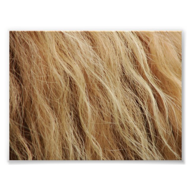 Horse Mane Fototryck (Framsidan)