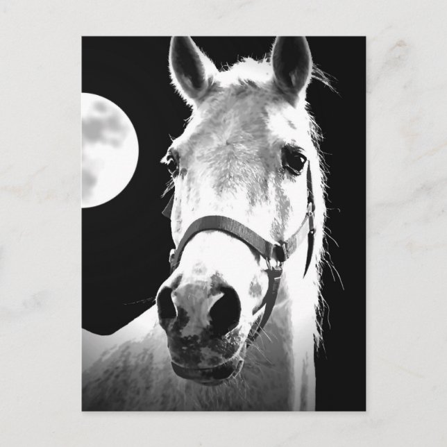 Horse & Måne Vykort (Framsida)