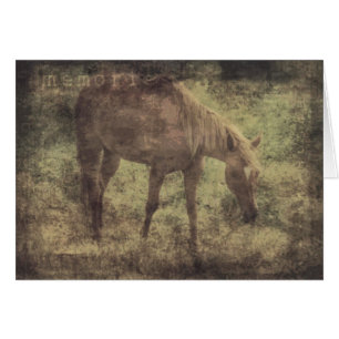 Horse Memories Grunge Hälsningskort