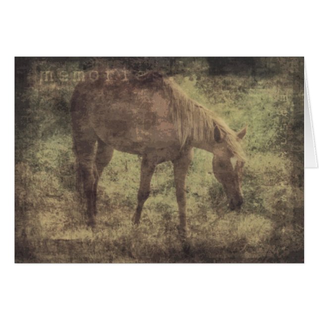 Horse Memories Grunge Hälsningskort (Framsidan Horizontal)
