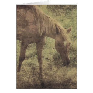 Horse Memories Grunge Hälsningskort