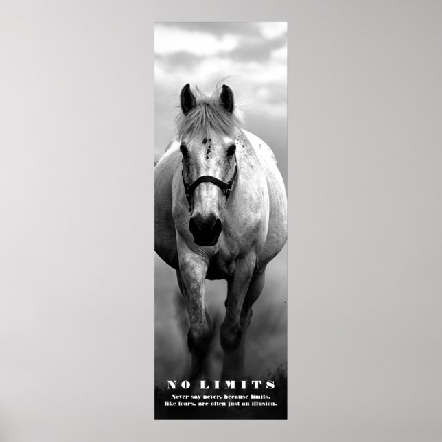 Horse Motivational No Limits Artwork Black White Poster (Framsidan)