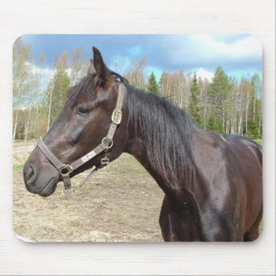 Horse mousepad musmatta