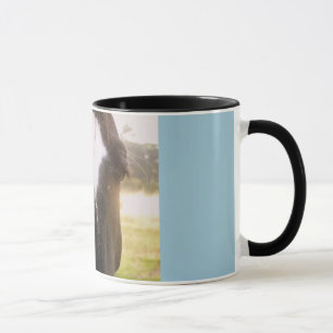 Horse Mugg