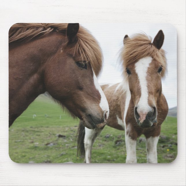 Horse, närbild musmatta (Framsidan)