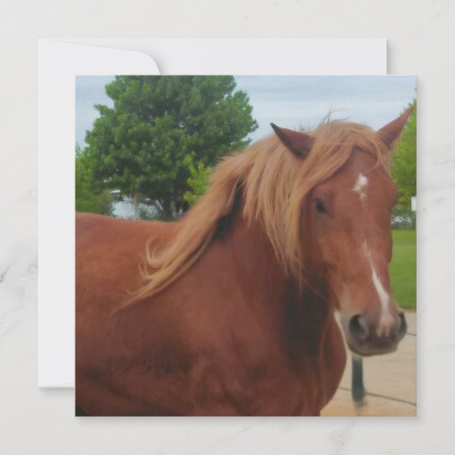 Horse Note Card | Elegant Equestrian Greeting Card (Framsida)
