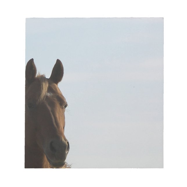 Horse Notpad Anteckningsblock (Framsida)