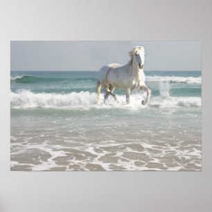 Horse Ocean Beauty Print Poster