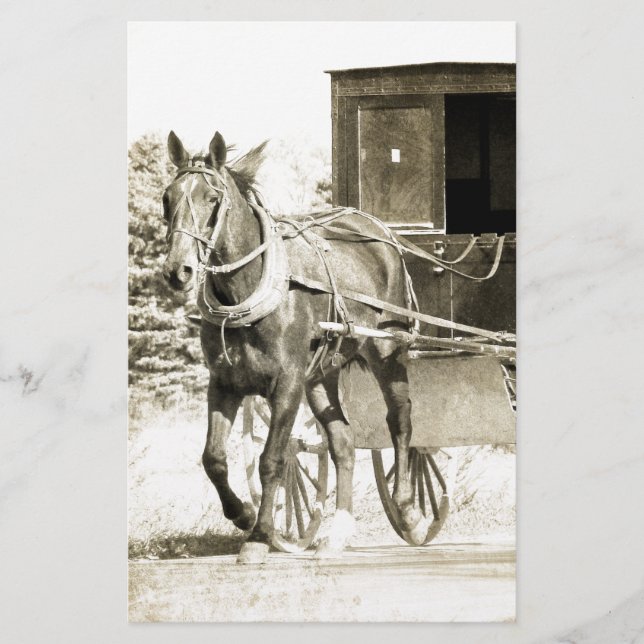 Horse och Buggy Sepia (Framsida)