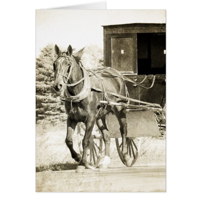 Horse och Buggy Sepia Hälsningskort (Framsidan)