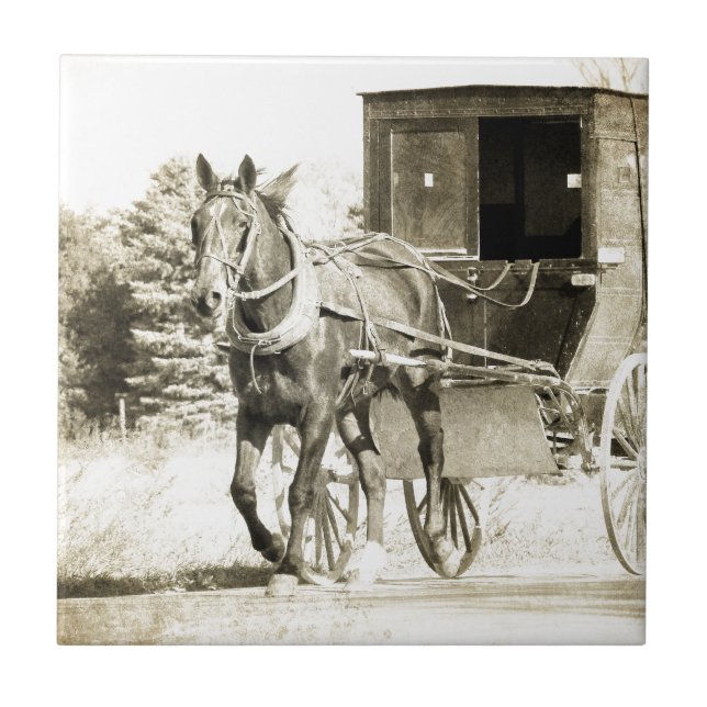 Horse och Buggy Sepia Kakelplatta (Framsidan)