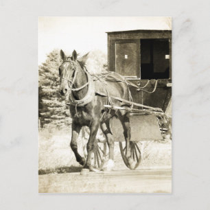 Horse och Buggy Sepia Vykort