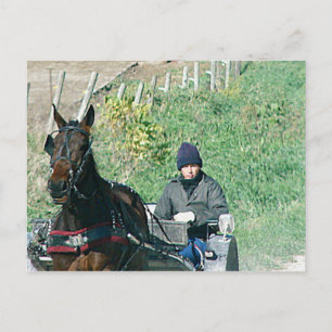 Horse och Buggy Vykort