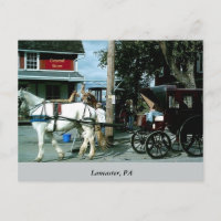 Horse och Buggy