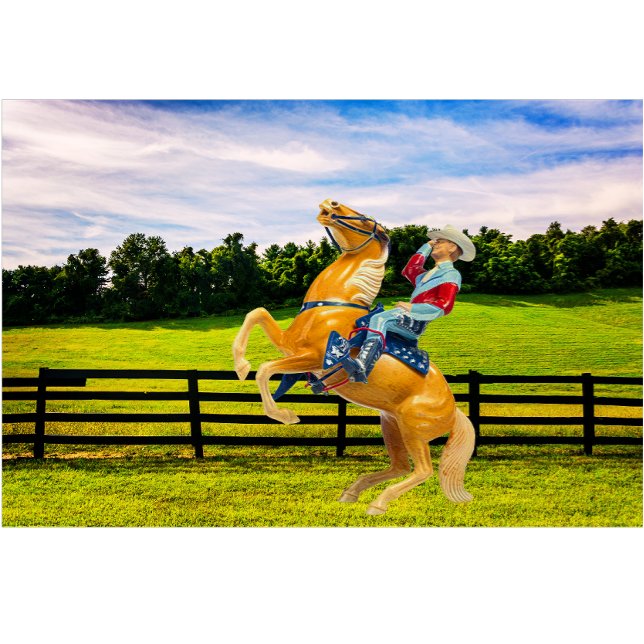 Horse och Cowboyen Lumbarkudde (Skapare uppladdad)