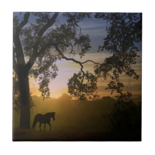 Horse och Heritage Oak Träd i sydvästra Sunset Kakelplatta